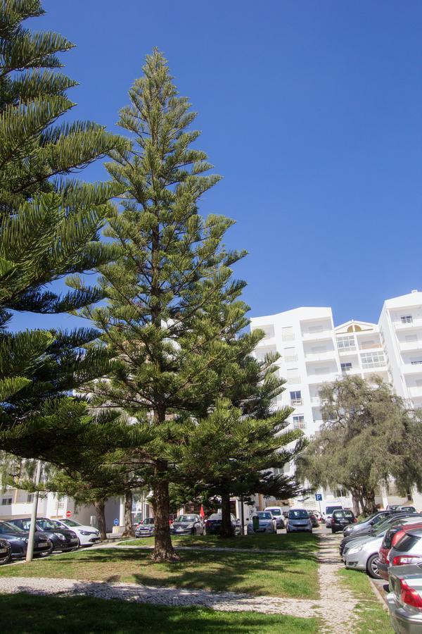 Apartmán Casa Da Praia Lagos Exteriér fotografie